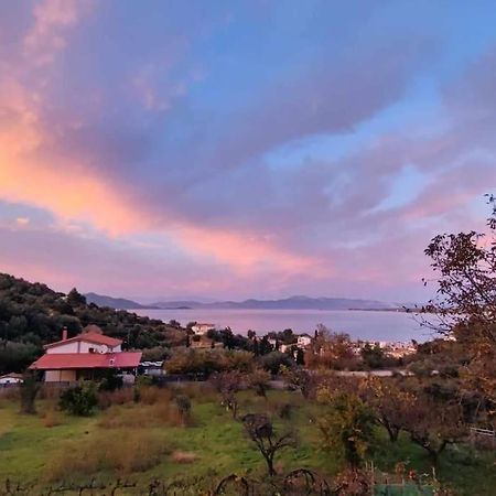 Ferienwohnung Ολόκληρος Όροφος Αγροτική Οικία Néos Pírgos Exterior foto