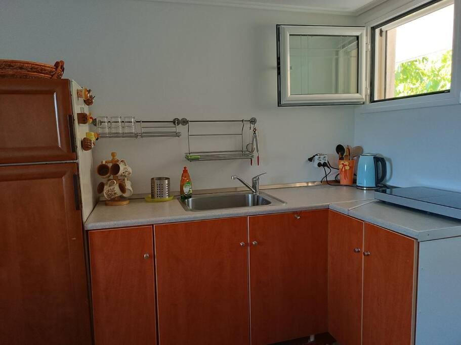 Ferienwohnung Ολόκληρος Όροφος Αγροτική Οικία Néos Pírgos Exterior foto