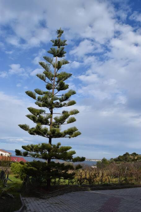 Ferienwohnung Ολόκληρος Όροφος Αγροτική Οικία Néos Pírgos Exterior foto