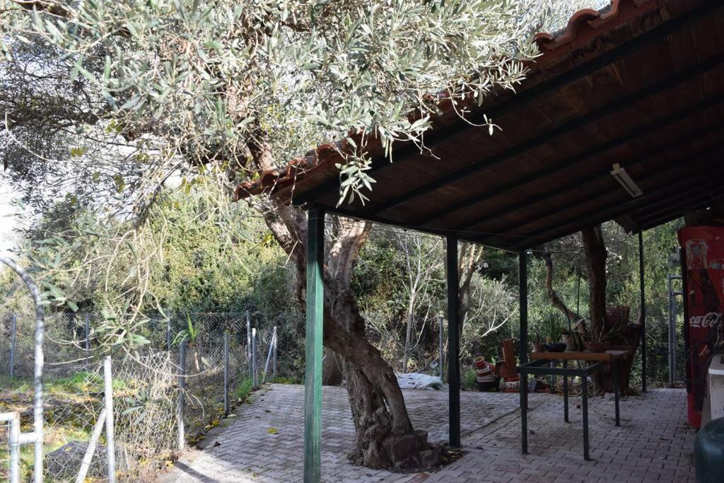 Ferienwohnung Ολόκληρος Όροφος Αγροτική Οικία Néos Pírgos Exterior foto