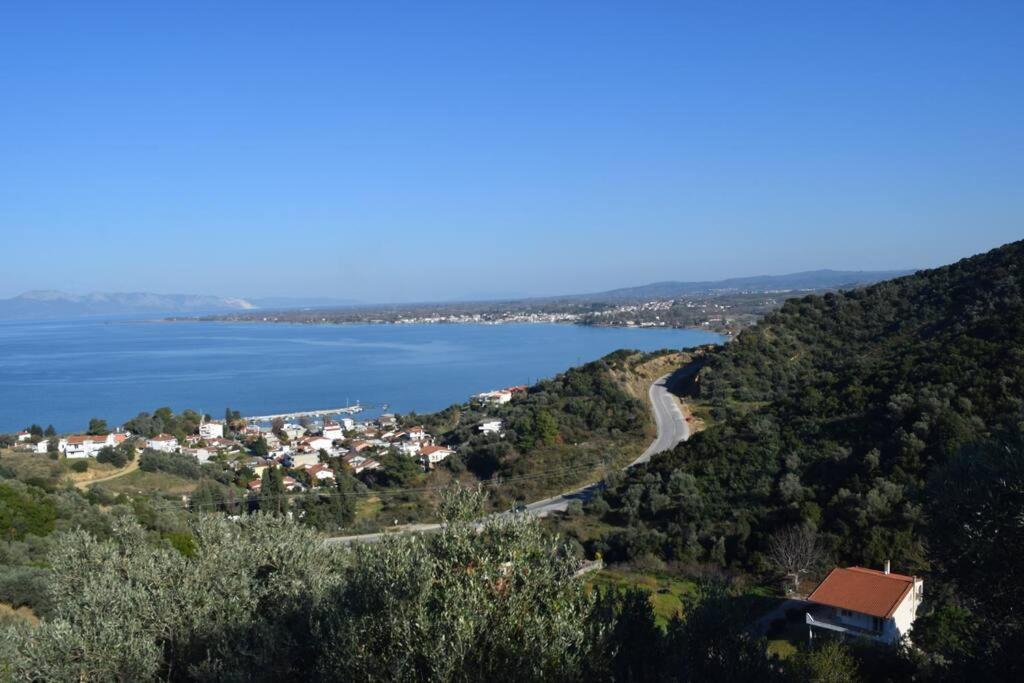 Ferienwohnung Ολόκληρος Όροφος Αγροτική Οικία Néos Pírgos Exterior foto