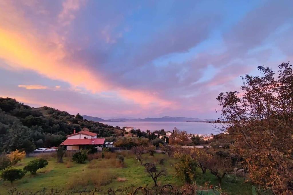 Ferienwohnung Ολόκληρος Όροφος Αγροτική Οικία Néos Pírgos Exterior foto